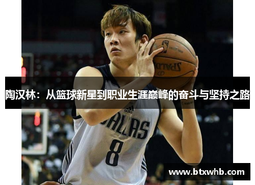 陶汉林：从篮球新星到职业生涯巅峰的奋斗与坚持之路
